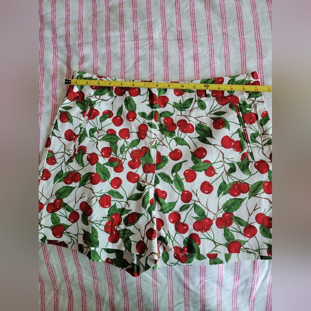 Never worn, Zara cherry high waist shorts